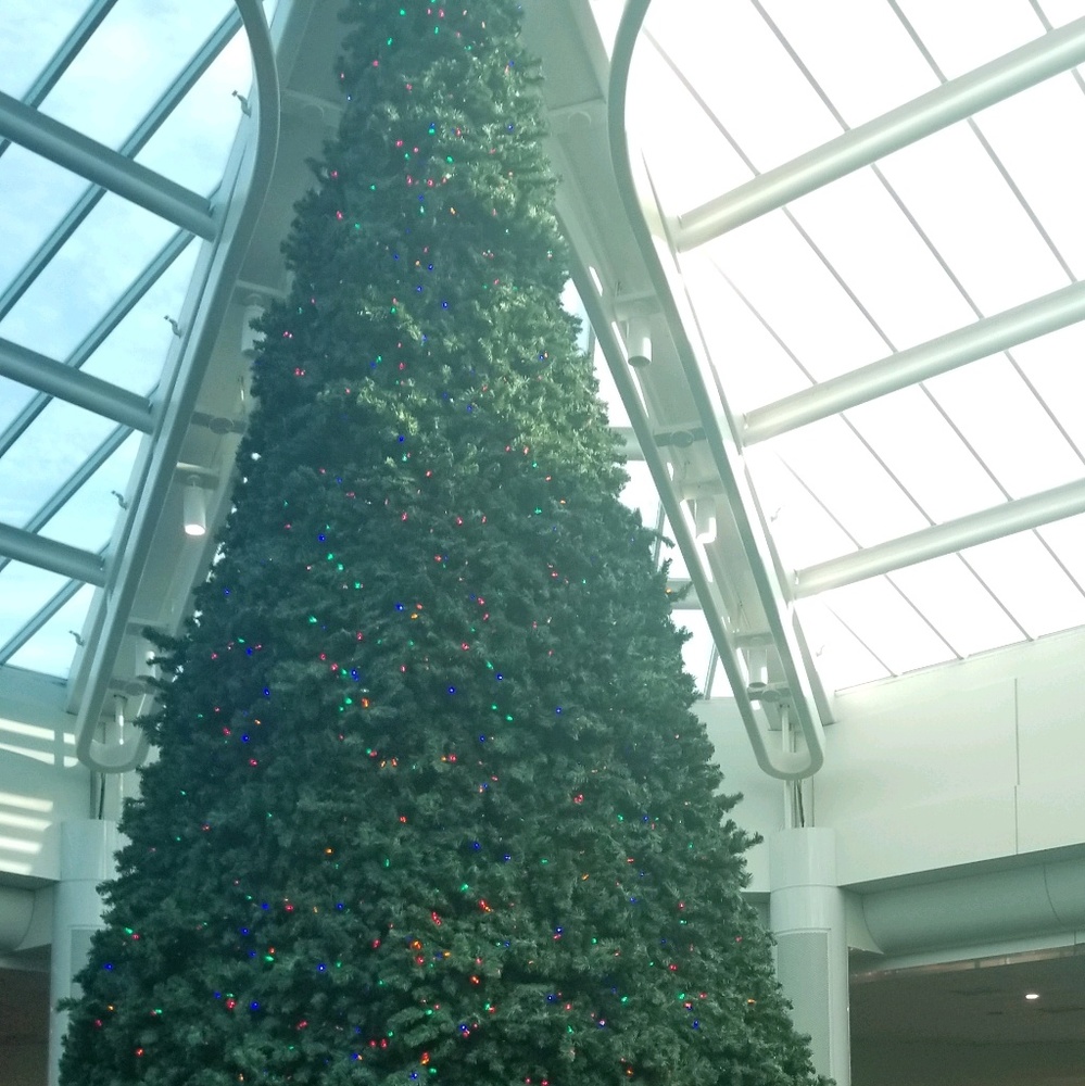 Meet your Posher, Courtney